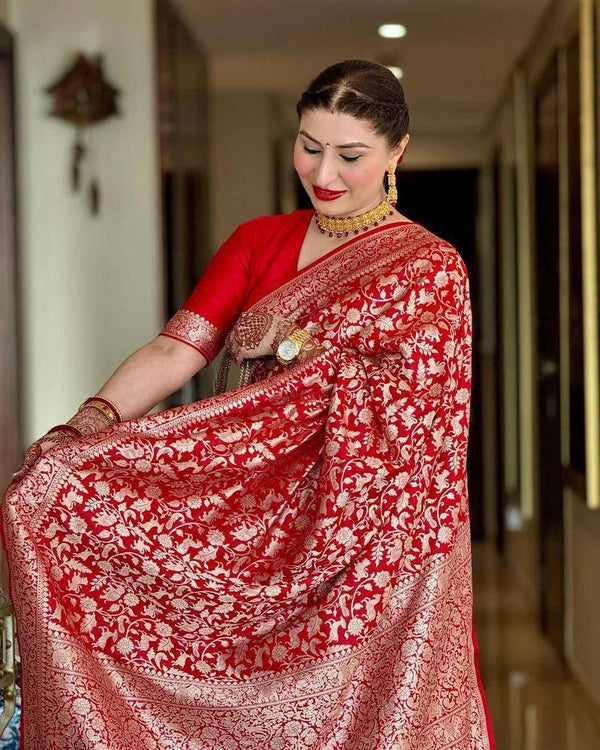 Royal Red Handloom Silk Saree with Rich Traditional Motifs