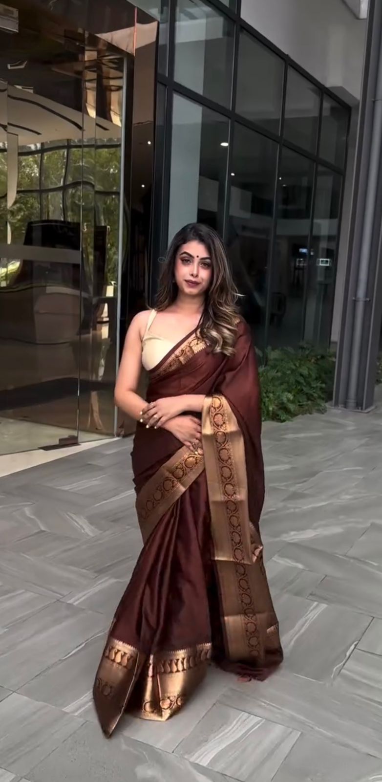 Stunning Brown Kanjivaram Silk Saree with Majestic Border