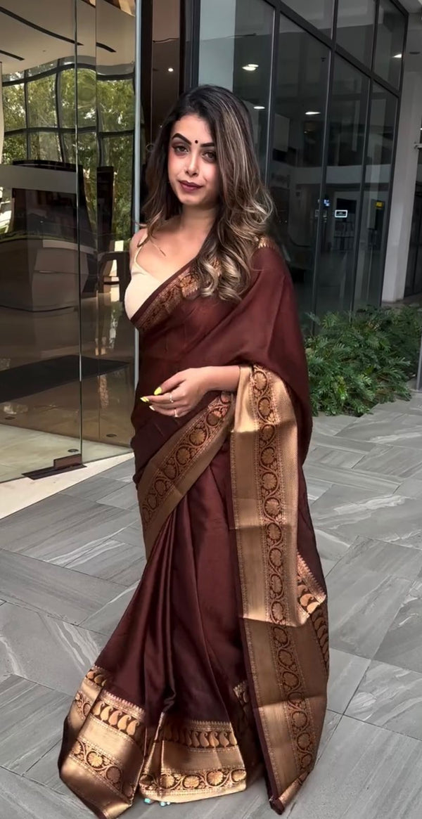 Stunning Brown Kanjivaram Silk Saree with Majestic Border
