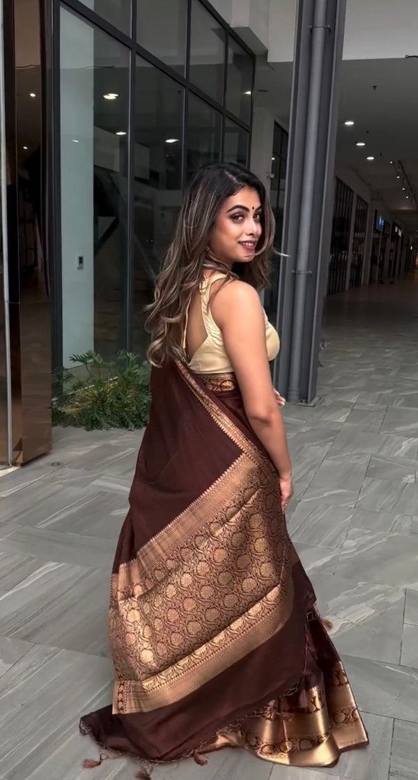 Stunning Brown Kanjivaram Silk Saree with Majestic Border
